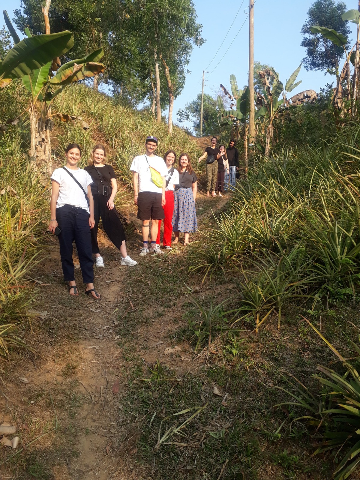 walk